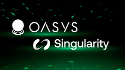 Oasys Blockchain Scores Partnership With Singularity for Better Payments in Web3 Gaming