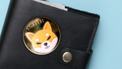Shib Wallet to Feature Forget-Proof Recovery and Email Sign-In