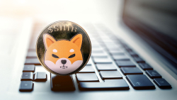 Shiba Inu (SHIB) Forms Crucial Divergence You Don't Want to Miss