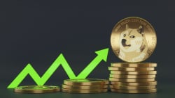 Dogecoin (DOGE) Makes Interesting On-Chain Maneuvers