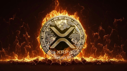 XRP's Hidden Secret: Daily Burns Exposed in Important New Update