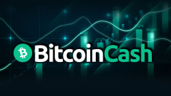 Mysterious $62 Million Bitcoin Cash (BCH) Transfer Sparks Speculation, Here&#039;s Why