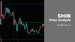 SHIB Price Prediction for February 21