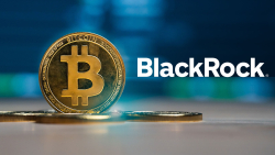 Shocking Bitcoin Strategy from BlackRock Calls for 28% Allocation