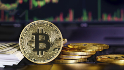 Bitcoin (BTC) Price Shows Resilience With Strong Accumulation Indicators