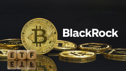 BlackRock&#039;s Bitcoin ETF Joins $10 Billion Club 
