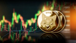 Shiba Inu Triggers 1,104% in Inflows as SHIB Price Hits Two-Year High