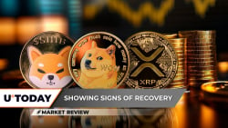 Shiba Inu (SHIB) Explosion Incoming? 3 Dogecoin (DOGE)  Price Levels to Watch Ahead of Reversal, XRP Recovery Attempt Started