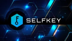 SelfKey Launches Community Referendum on Potential Merger: Details