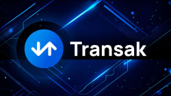 Transak Shows 300% Growth in Sui Wallet