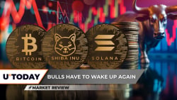 Bitcoin (BTC) Hits Crucial Price Level: Details, Here's Why Shiba Inu (SHIB) Is Moving Like Snail, Solana (SOL) Pushes to $300 as Billions in Volume Flow In