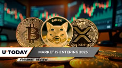 Bitcoin (BTC) Loses Support: 2025 to Begin With Crash? Shiba Inu (SHIB) Hits Critical Level, XRP Struggles to Hold Above $2