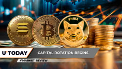 Solana (SOL): Worst Drop in 3 Years, US Dollar to Decimate Bitcoin (BTC)? Shiba Inu (SHIB) Surprise Recovery Possible