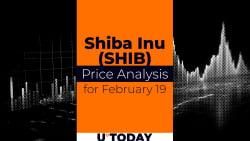 SHIB Price Prediction for February 19