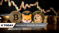 Bitcoin (BTC) Absolutely Getting Squeezed, Shiba Inu (SHIB) Volume Nears Zero, Dogecoin (DOGE) Investors Melting Away