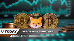 Shiba Inu (SHIB) Bull Run Can Start Now, Ethereum (ETH) Is Alive, Bitcoin (BTC) to $100,000 Secured?