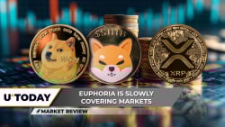Dogecoin (DOGE): Biggest Breakout in 2025? Shiba Inu (SHIB) Must Break This, XRP Becomes Euphoric