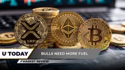 XRP Price: Is $3 Club Closed? Ethereum (ETH): Last Chance For $4,000, Bitcoin (BTC): Is $150,000 Still Available? 