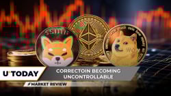 Shiba Inu (SHIB): This Was Brutal, Ethereum (ETH) Fails at $3,700: But There's a Catch, Dogecoin (DOGE) Says Goodbye to $0.20