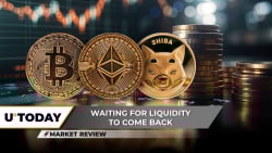 Bitcoin (BTC): Be Ready to Lose $100,000, Ethereum (ETH): Bounce Hinges on $4,000, Shiba Inu (SHIB): Awaiting Explosion or Zero Again?