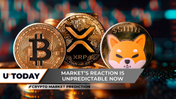 암호화 시장 예측: 비트 코인 (BTC)은 $ 113, 000, XRP $ 2에 싸 웁니다. 96 마지막 기회, Shiba Inu (Shib)는 여전히 $ 0를 보유하고 있습니다. 0000122 희망