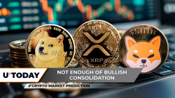 암호화 시장 예측: Shiba Inu (Shib) Moon Landing, Dogecoin (Doge)은 $ 0에 갇혔습니다. 23, XRP: 3달러에 가장 중요한 이벤트