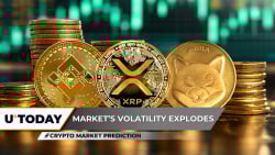 Crypto Market Prediction: BNB is Euphoric Before $2,000, XRP Beaten Up With $6 Billion, Shiba Inu (SHIB) to Hit 2025's Bottom
