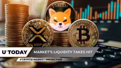Crypto Market Prediction: XRP to Enter Freefall, Critical Support Lost? Bitcoin (BTC) Hits $120,000 Top, Shiba Inu (SHIB) Bullish Reversal Starts Here