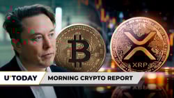 Morning Crypto Report: Elon Musk Breaks Silence on Bitcoin With 'Fake Currency' Rant, XRP Eyes Brutal $6,000,000,000 Sell-Off, China Triggers Crypto Market Bloodbath
