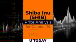 SHIB Price Analysis for October 14