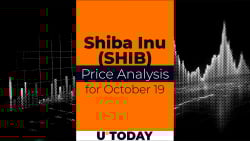 SHIB Price Analysis for October 19