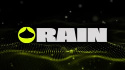 Rain's Decentralized Prediction Market Puts $1 Million on Its Own Virality