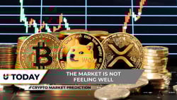 Crypto Market Prediction: Bitcoin's Last Chance For Six Digits, Everything is Clear For XRP Now, Dogecoin (DOGE) Downtrend is Empty