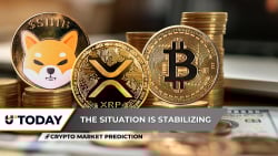 Crypto Market Prediction: Can Bitcoin Break $90,000 on Recovery March? Shiba Inu (SHIB) Fresh Rally Starts, Is XRP Building Bullish Momentum?