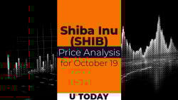 SHIB Price Analysis for December 30