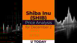 SHIB Price Analysis for December 2