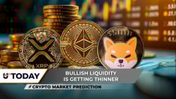 Crypto Market Prediction: XRP's Engines Are Hot Enough for a Rally, Ethereum (ETH): One More Price Surge Attempt, Shiba Inu (SHIB) Does Not Want to Stop at $0.000008