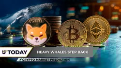 Crypto Market Prediction: Will Shiba Inu (SHIB) Crash Ever End? Ethereum (ETH) Already Sniffing $3,000; Bitcoin (BTC) Price Expodes in Unexpected Volume Spike