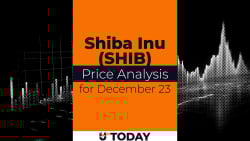 SHIB Price Analysis for December 23