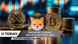 Crypto Market Review: Did XRP Downtrend End? Shiba Inu (SHIB) Taking a Beating, Bitcoin (BTC) Safe Above $80,000