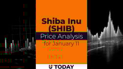 SHIB Price Analysis for January 11