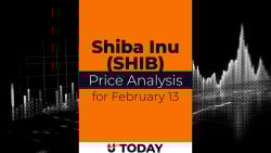 SHIB Price Analysis for February 13