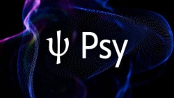 Psy Protocol Claims 521,000 TPS in Public Stress Test, Opens Data for Verification