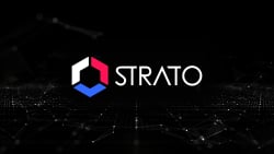 Chonky by ConsenSys Diligence and STRATO: Addressing New AI Threats
