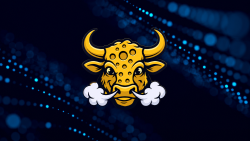 Bullcheese.fun Launches on Circle's Arc With Concentrated Liquidity Model