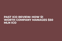 Past ICO Review: How $1 Worth Company Manages $50 Mln ICO