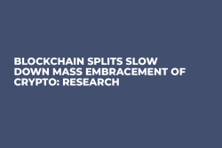 Blockchain Splits Slow Down Mass Embracement of Crypto: Research