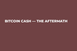 Bitcoin Cash — The Aftermath