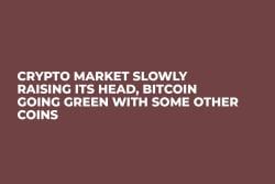 Crypto Market Slowly Raising Its Head, Bitcoin Going Green With Some Other Coins