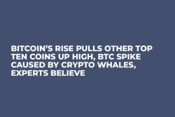 Bitcoin’s Rise Pulls Other Top Ten Coins Up High, BTC Spike Caused by Crypto Whales, Experts Believe